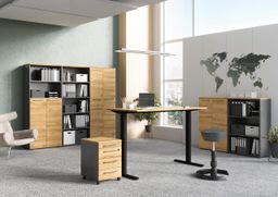 Bureau Ergonoma-16E-EZ