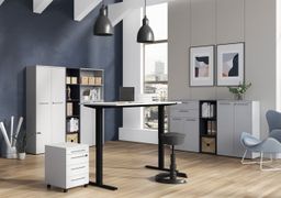 Bureau Ergonoma-18E-LGZ