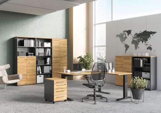 Lage bureaukast Ergonoma-LB-GE