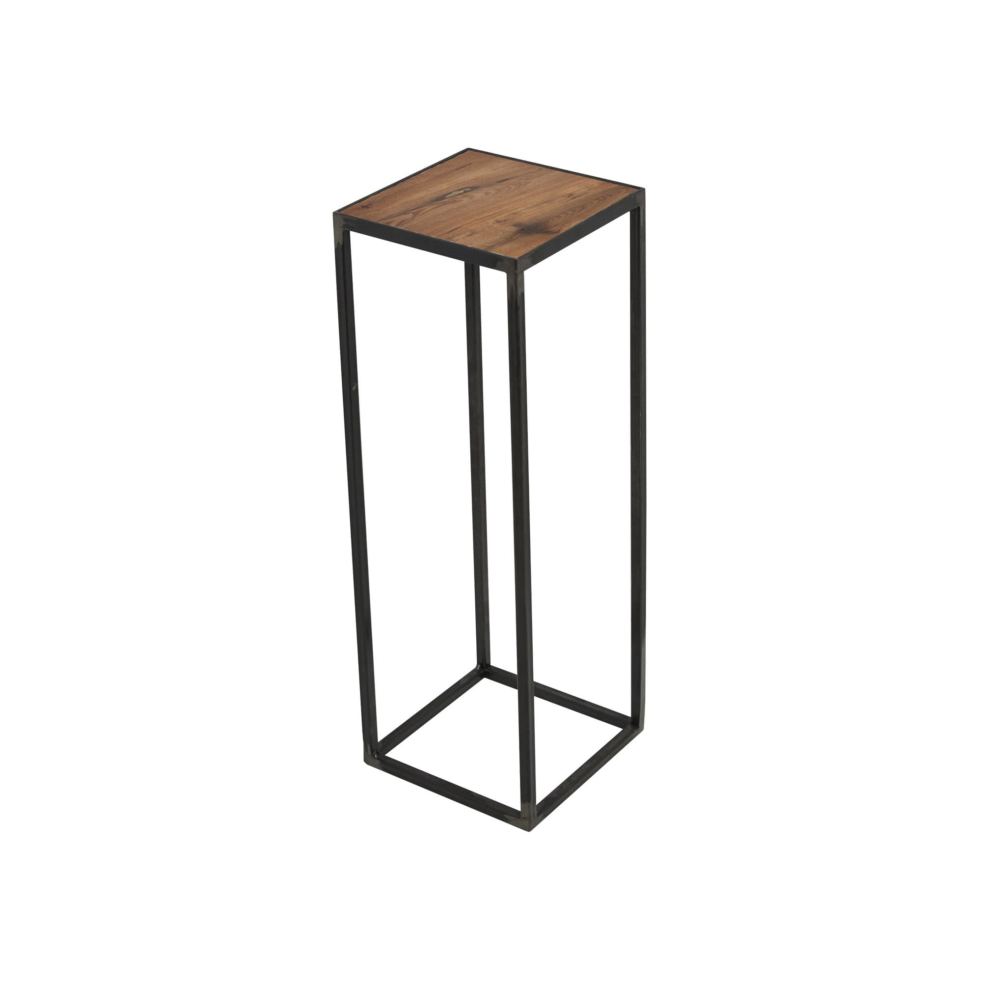 Plantentafel Olive 60 cm